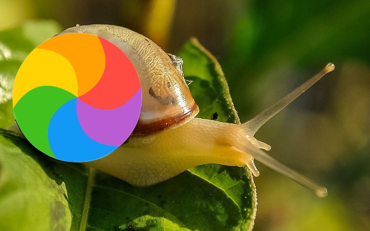 About  Rogue Snail